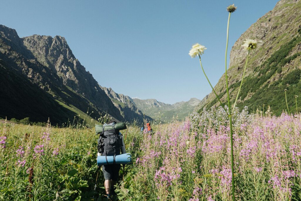 Valley of Flowers - Himalayan Lama Travels