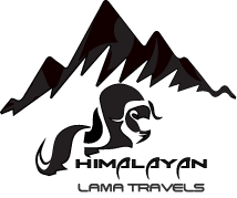 Himalayan Lama Travels