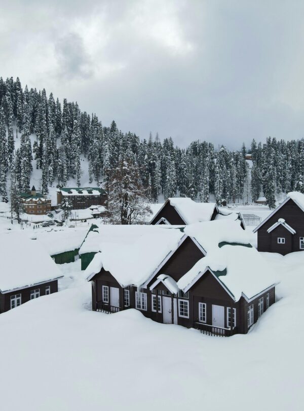 Kashmir Gulmarg Snowfall - Himalayan Lama Travels 04