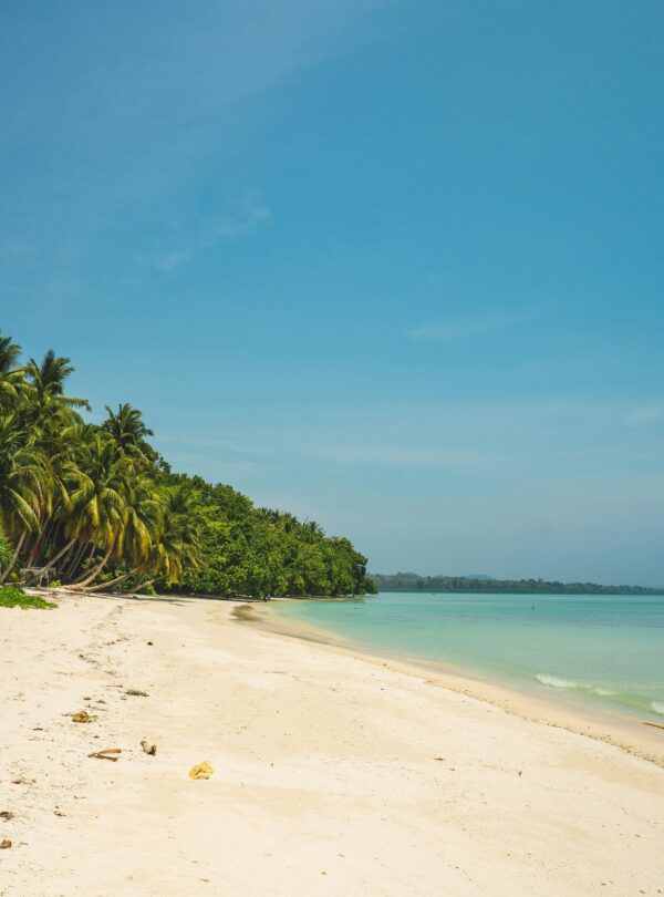 Andman HAvelock Island Beach - Himalayan Lama Travels
